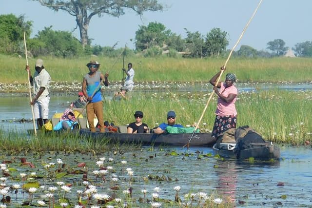 1 Day Relax On A Mokoro Ride In The Okavango Delta, Botswana