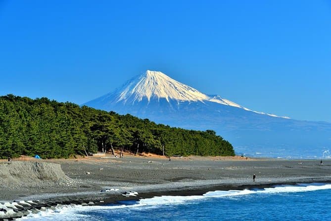 Exclusive Private Shizuoka Tours & Custom Travel Experiences