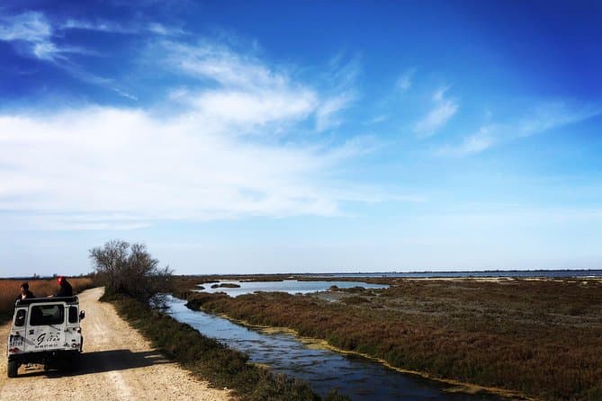 Best Camargue 4x4 Safaris Near Marseille