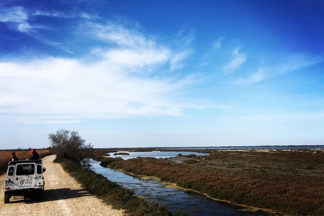 Safari 4x4 Camargue 2 hours - Saintes Maries de la Mer - Private Tour