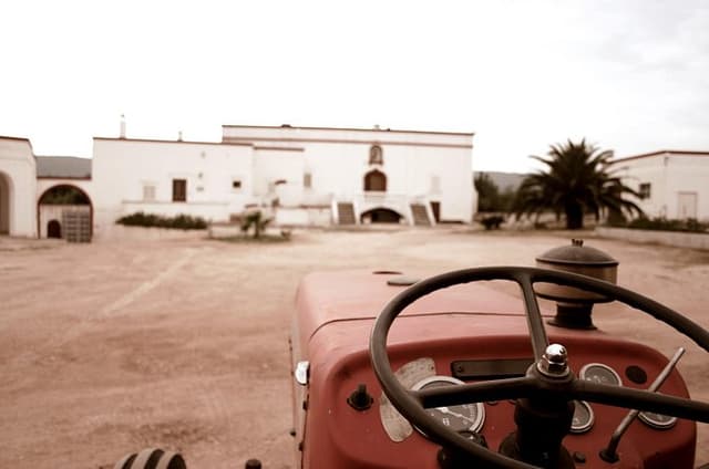Extra virgin Savoy Tour and olive oil tasting - FASANO