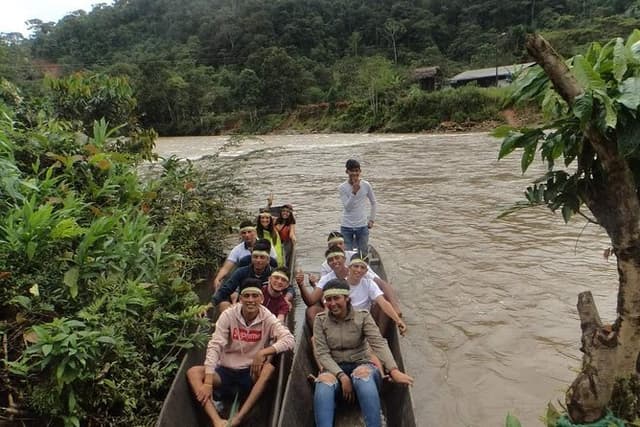 Jungle Tours - Amazon | Full Day | Various activities