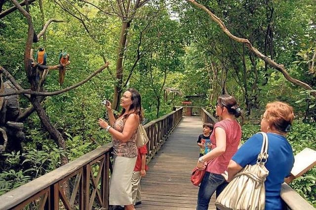 Historical Park of Guayaquil : Culture, Nature and Architecture