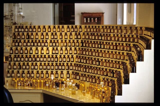 In the secret of perfumes and flowers-private tour full day-