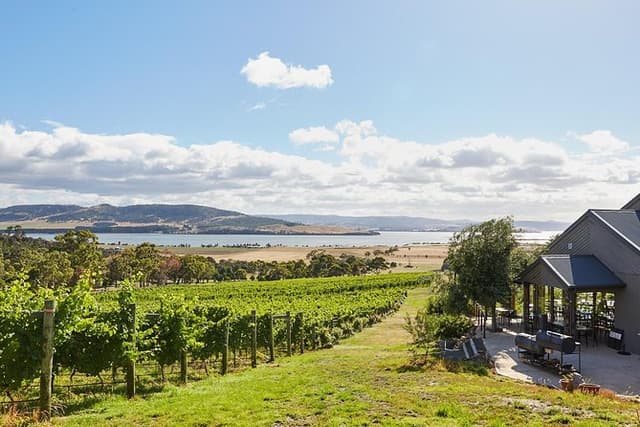 Private West Tamar Wine Tour （Book at least 3 days in advance）
