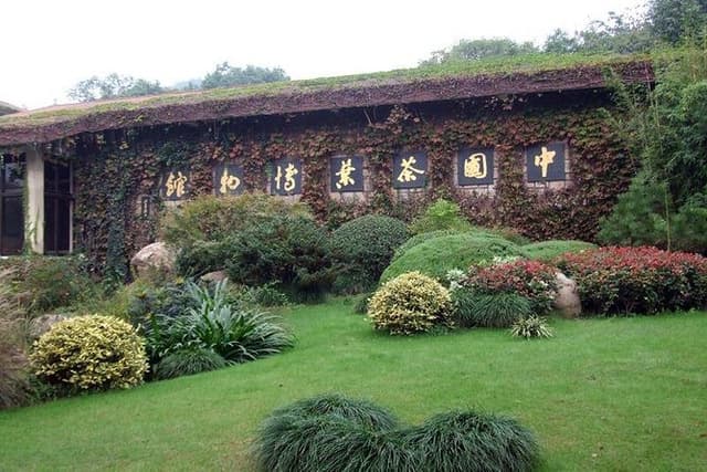 Hangzhou Day Trip Dragon Well Tea Plantation and Culture Tour