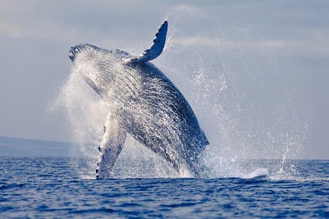 Best Machalilla National Park Tours in Puerto Lopez