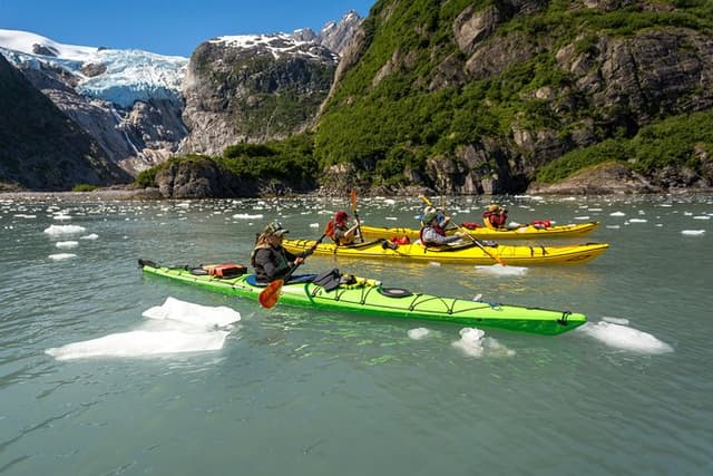 Kenai Fjords (Grand Day) Wildlife Cruise & Glacier Kayak Combo