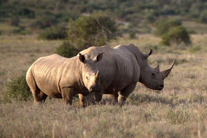 Compare Cape Town to Johannesburg Tours