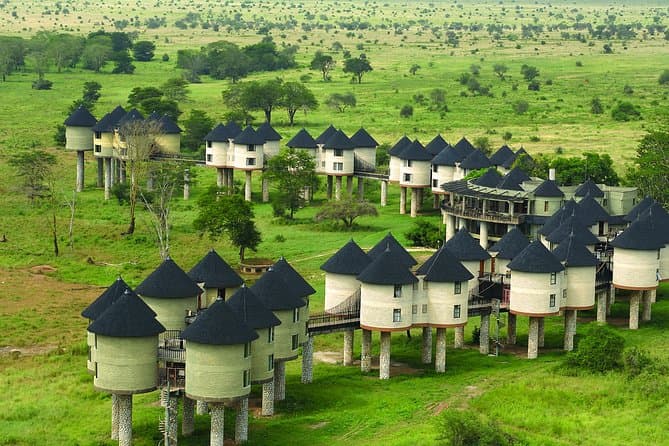 Taita Hills Safari