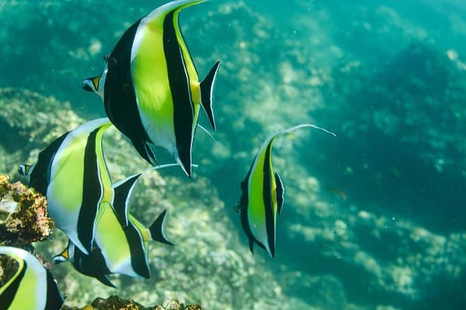 Best Los Cabos Glass-bottom Boat Tours & Marine Adventures