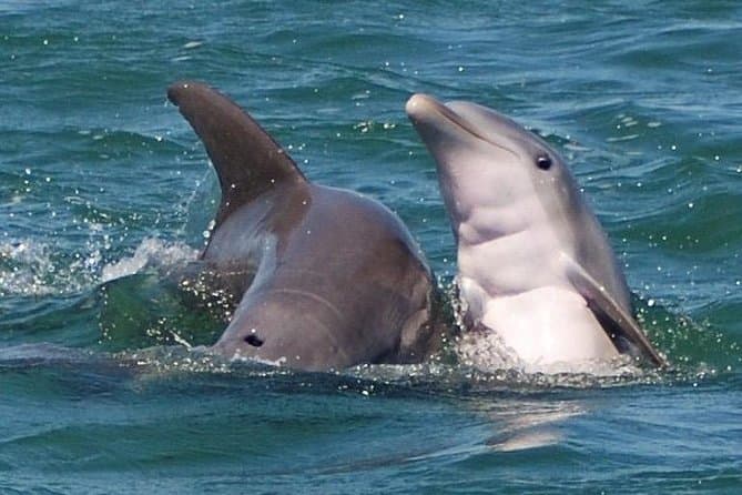 Best Key West Jet Ski Tours & Ocean Adventures