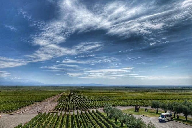 Unforgettable Mendoza Wine Tasting & Vineyard Tours