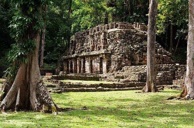 Compare Top Lacandon Jungle Tours in Palenque