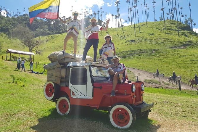 Cocora Valley Tour in Pereira: Wax Palm Views
