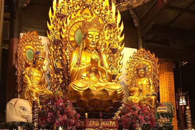 Full-Day Private Historical Guided Tour of Shanghai City