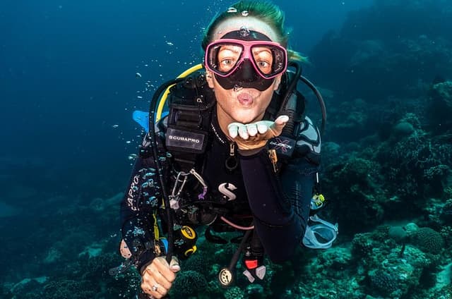 5 Fun Dives in Pemuteran (for certified divers) - Exploration in Menjangan Park