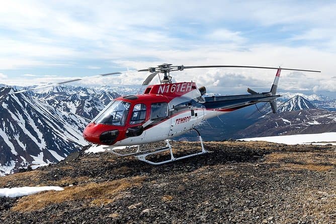 Denali Sightseeing