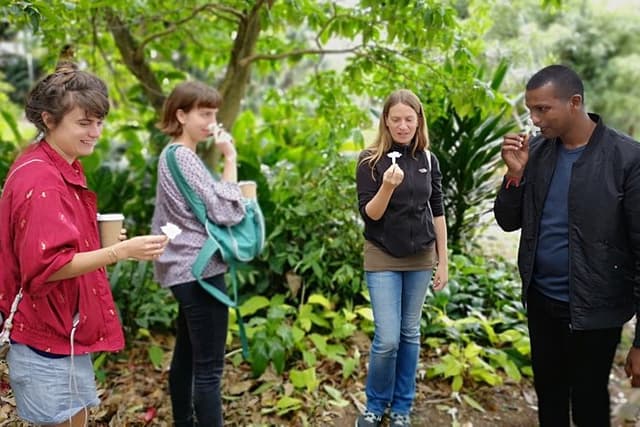 Durban Half Day: Botanical Gardens, Tribal Museums and Markets