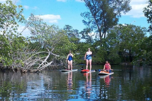 Island City ECO Paddle and Lesson to 9.3 Acre Nature Preserve