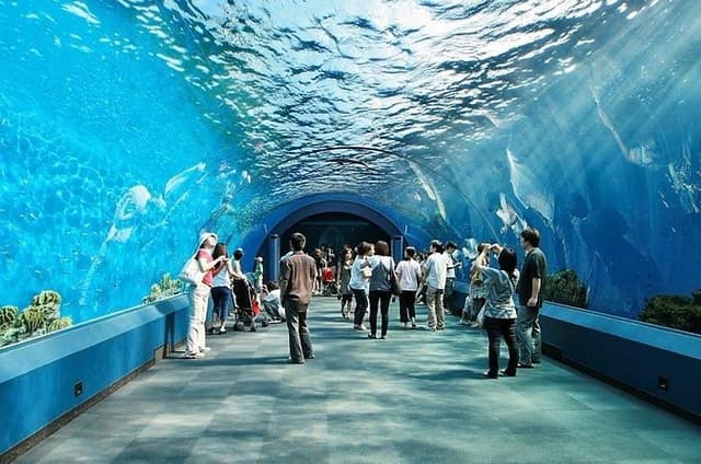Pattaya Underwater World Admission Ticket with Return Transfer