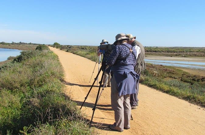 Best Birdwatching Tours at Alvor Dunes & Abicada