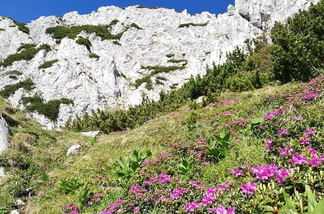 Day Hike PRIVATE - Piatra Craiului National Park