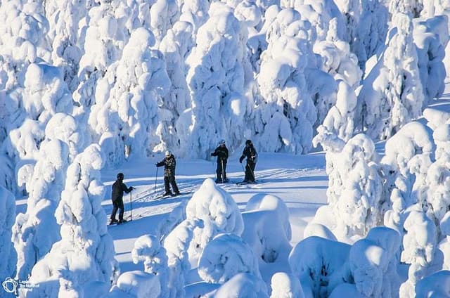 Cross Country Skiing Trip - Saariselkä