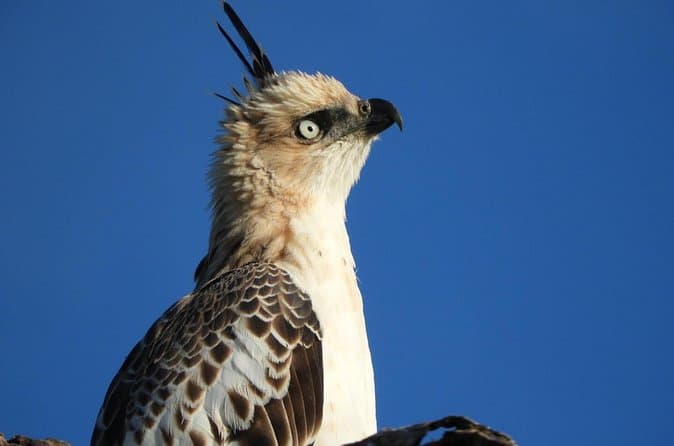 Top-Rated Bundala Wildlife Safaris
