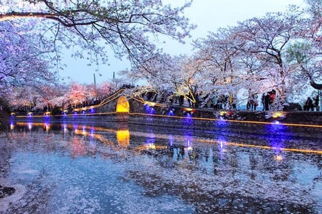 Wuxi Self-Guided Tour from Suzhou by Private Car