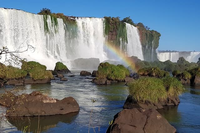 Tour to Iguazu Falls Brazil with visit at the Bird Park