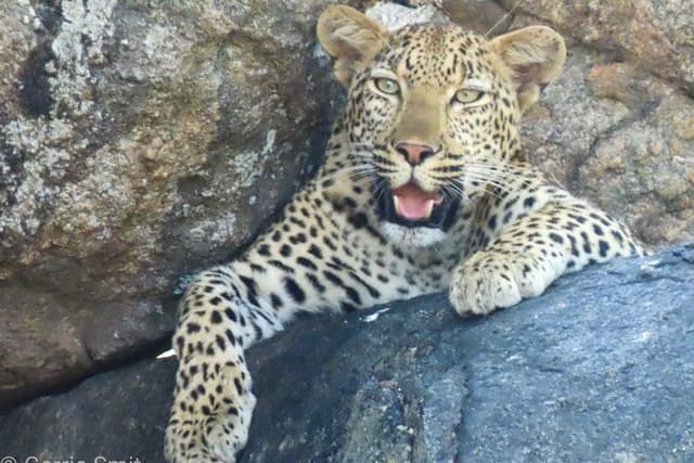Private 3 night 2 day safari. Kruger National Park from Hazyview.