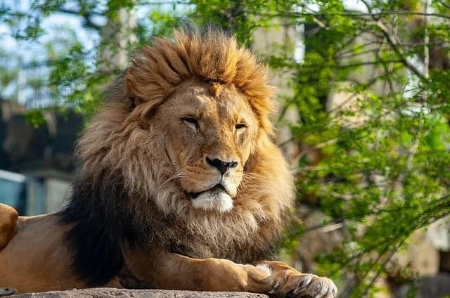 Skip-the-line Oliwa Zoo Gdansk Tour & Private Transport