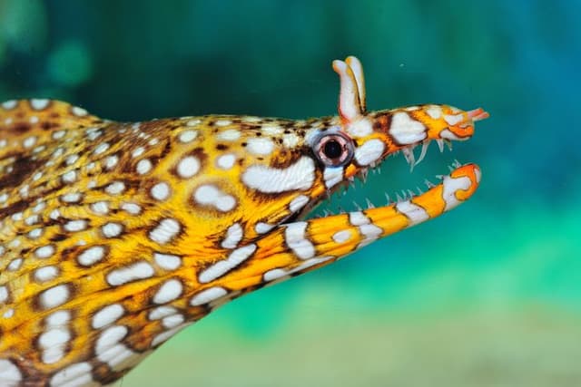 Full-Day Shanghai Aquarium Xintiandi and Jing’an Private Tour
