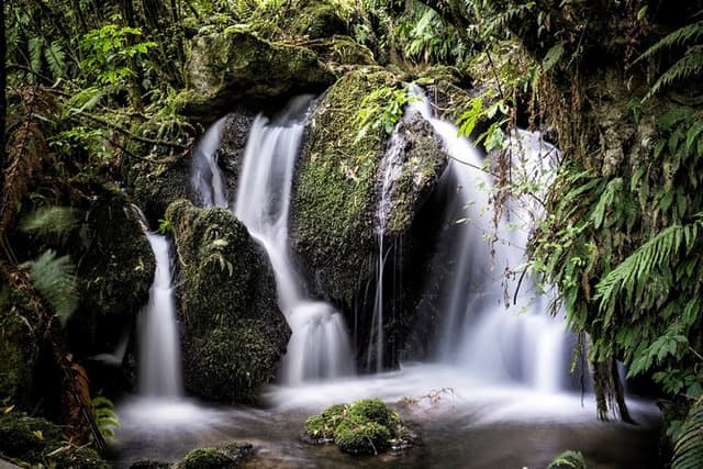 Buried Village of Te Wairoa