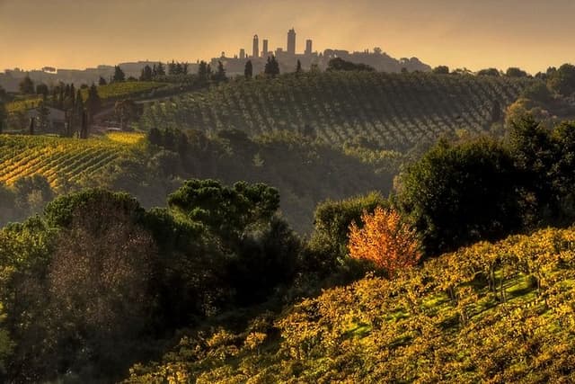 Small-Group Chianti and San Gimignano Sunset Trip from Siena