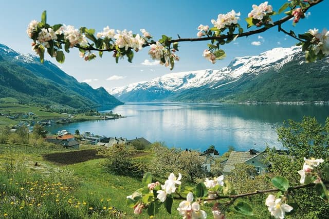 Bergen: Private Full-Day Waterfall day to Hardangerfjord & cruise