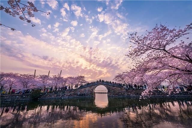 Wuxi Private Flexible Day Tour from Shanghai by Bullet Train