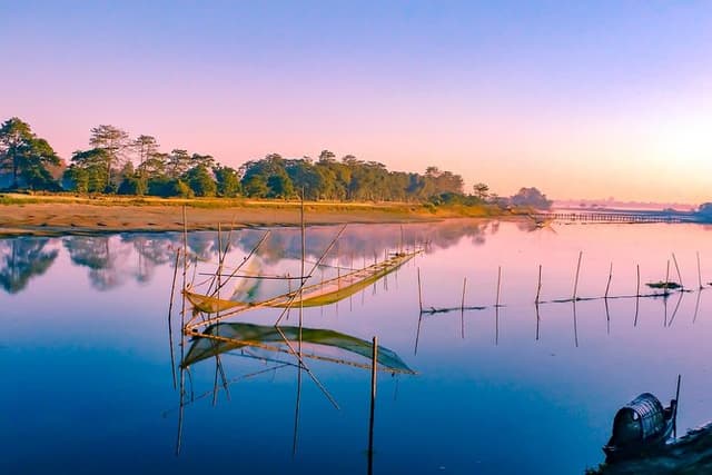 Private Assam Tea Estate, Rain Forest and River Island Tour
