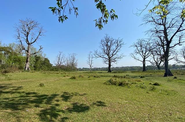 Canoeing and Nature Walk in Chitwan National Park