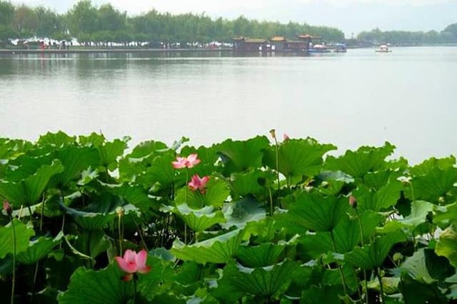 Private Tour: Hangzhou Heaven on Earth Day Excursion including West Lake Cruise