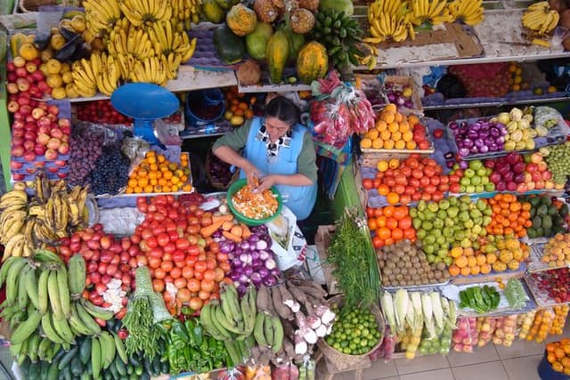 Private Cuenca City Half Day Tour