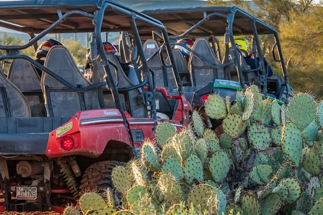 Guided Arizona Desert Tour by UTV - Centipede Tour