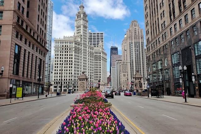 Chicago City Minibus Tour