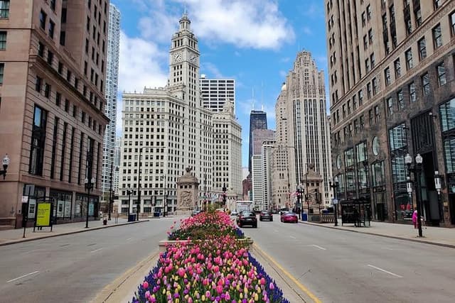 Private Chicago City Minibus Tour