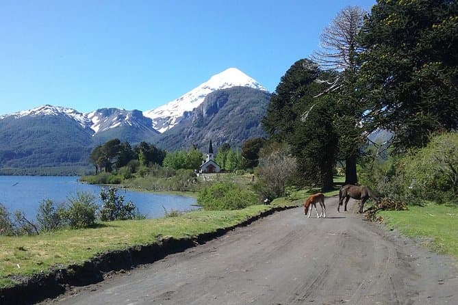 Lanin Volcano & Huechulafquen Lake: San Martin de los Andes