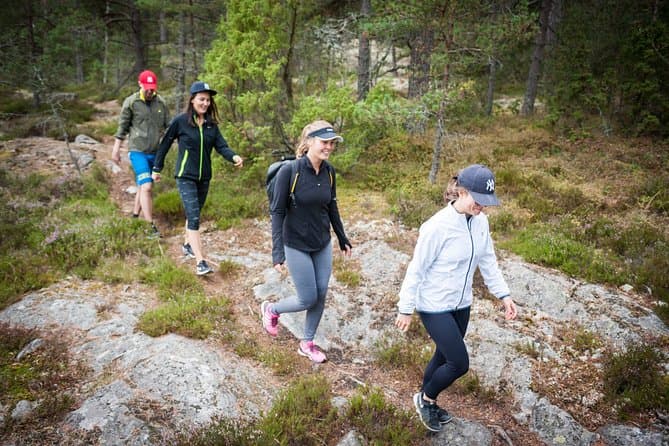 Explore Scenic Trails: Stockholm Nature Hike & Outdoor Tours