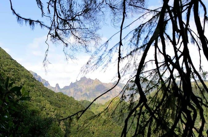 Best Ribeiro Frio Hiking Tours & Trails