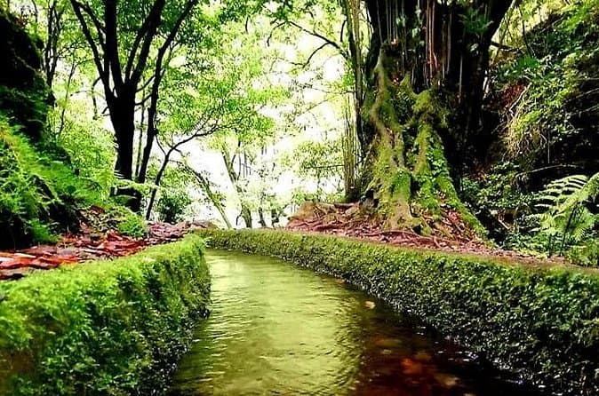 Compare Top Levada do Rei Hikes