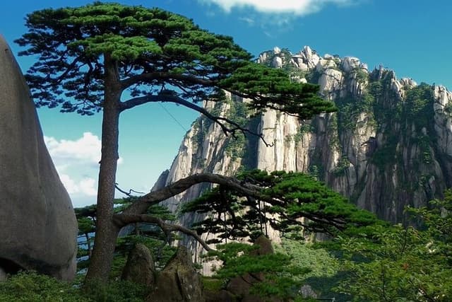 All Inclusive Huangshan Mountain and Hongcun Village Private Efficient Day Tour
